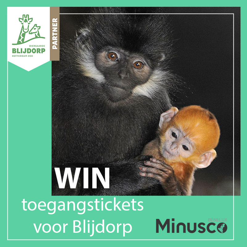 Kaarten Blijdorp